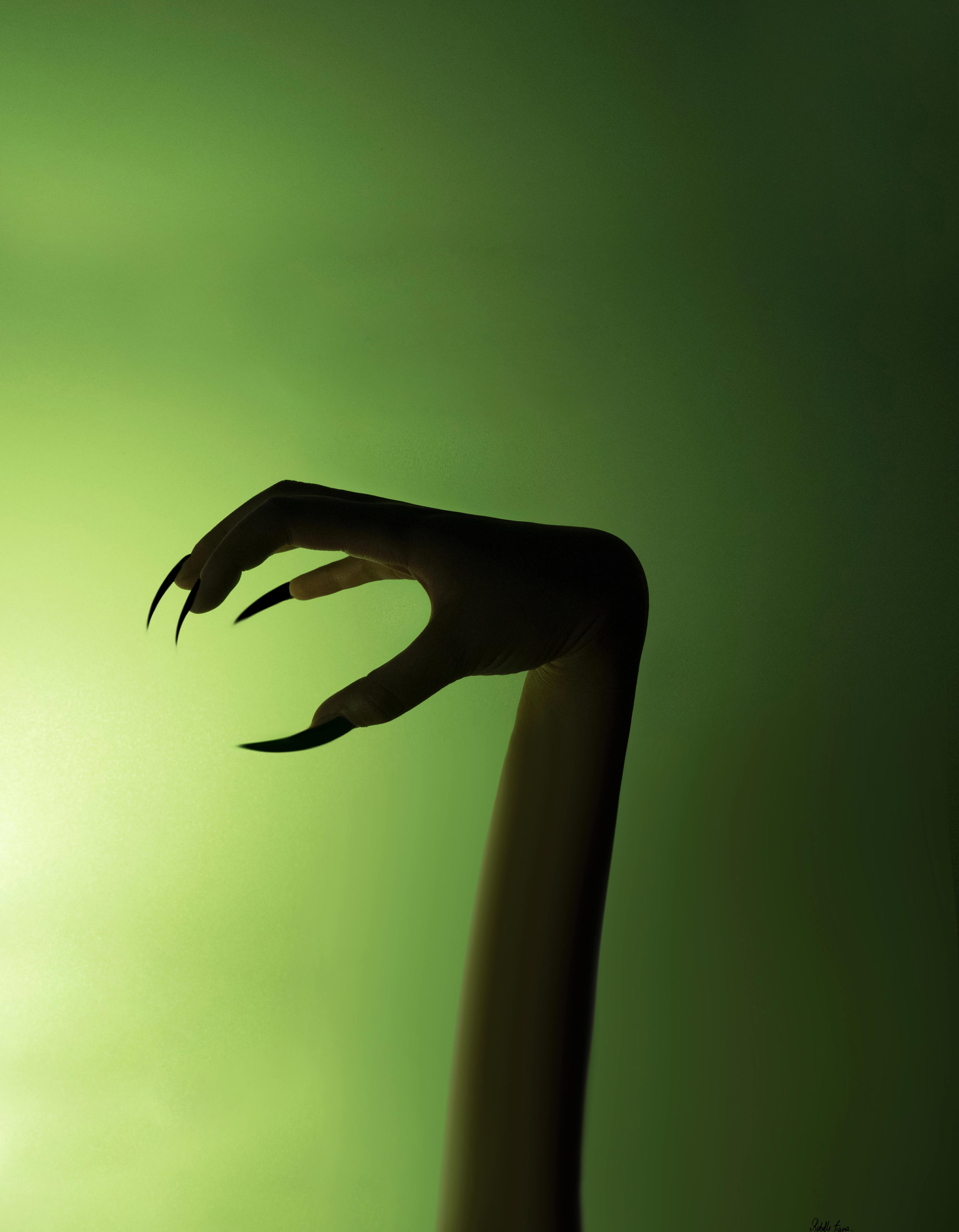 Serpents